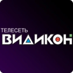 Видикон